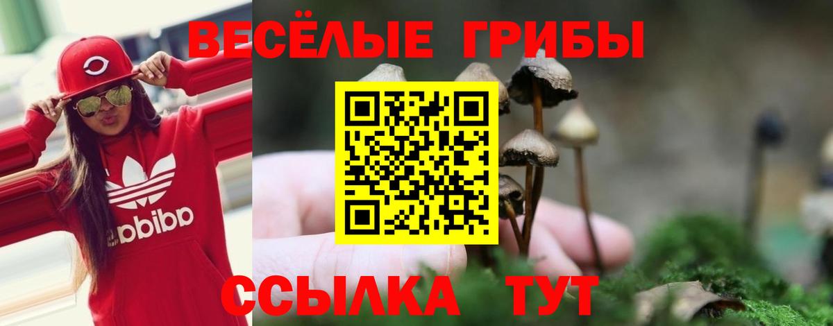 Галлюциногенные грибы GOLDEN TEACHER  Вход с VPN  Вязьма 